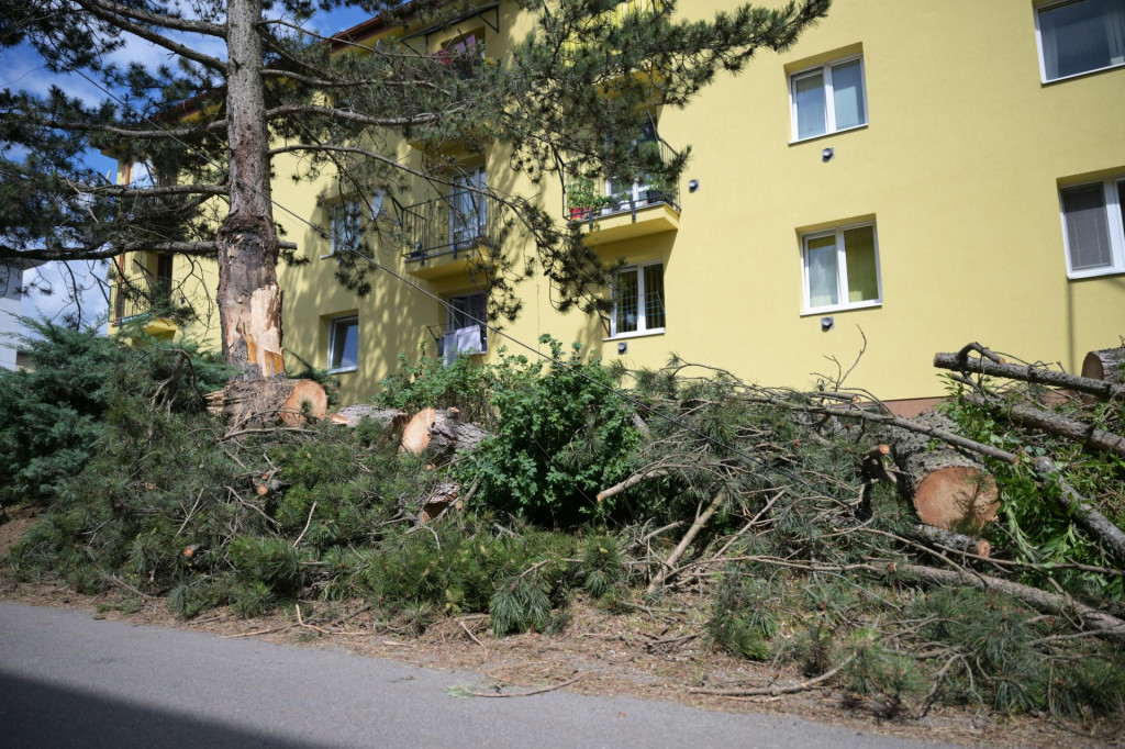 Konáre zo stromov v meste Gelnica po veternej smršti 11. júla. FOTO: TASR/František Iván