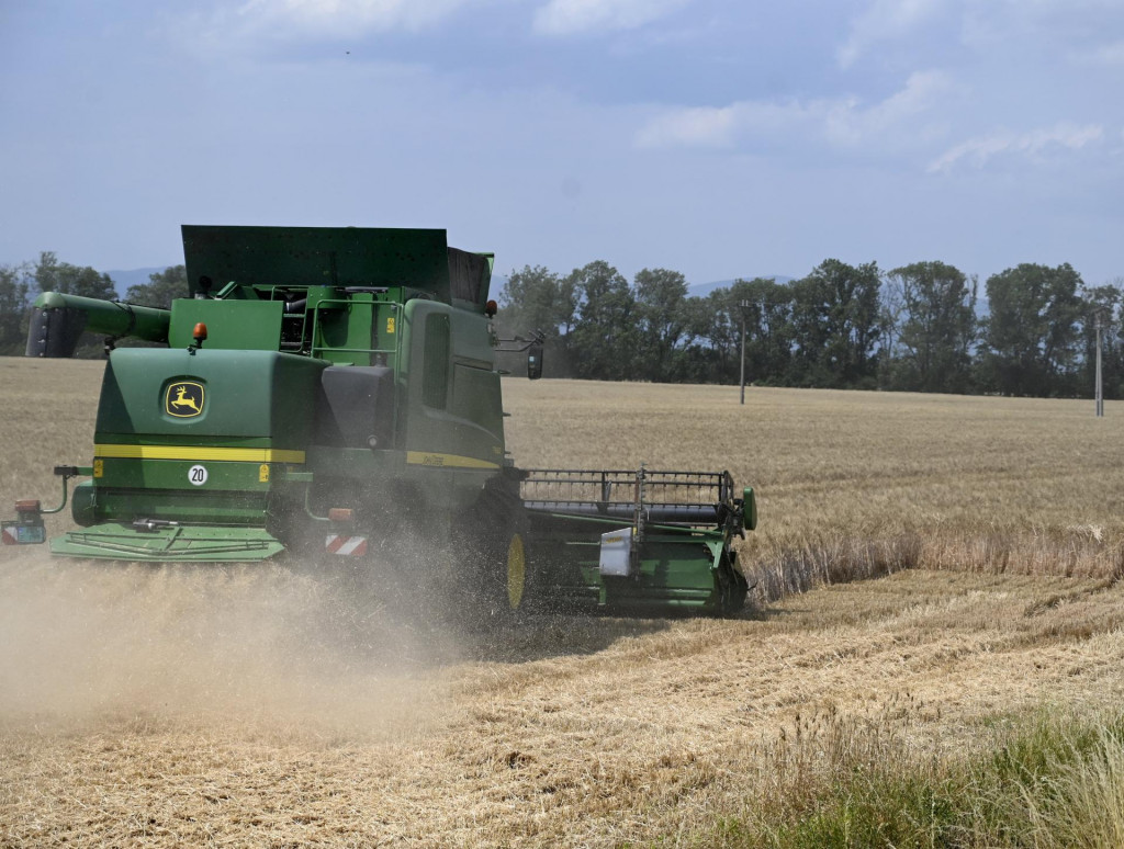 Ilustračná fotografia. FOTO: TASR/Roman Hanc