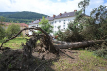 Vyvrátený strom v meste Gelnica po veternej smršti. FOTO: TASR/František Iván