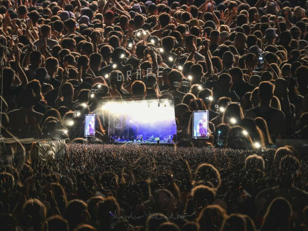 Festival Grape.