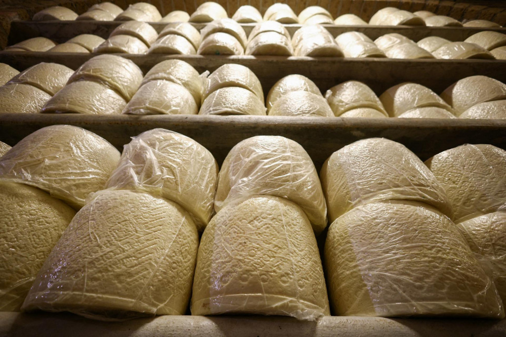 Syr Pecorino. FOTO: Reuters