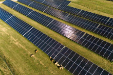 Solárny park v Iliašovciach vybudovala tiež firma Enery, elektrinu dodáva pivovaru Šariš.