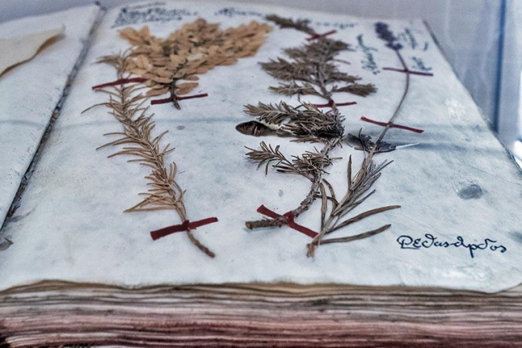 Cypriánovo Herbarium vznikalo od roku 1766 počas jeho pôsobenia v kláštore.