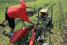 Ak na vašej pôde niekto farmárči, máte nárok na nájomné. FOTO: Tasr/M. Drozd