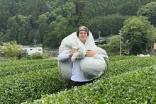 Vítek pracuje na matcha farme v Japonsku.