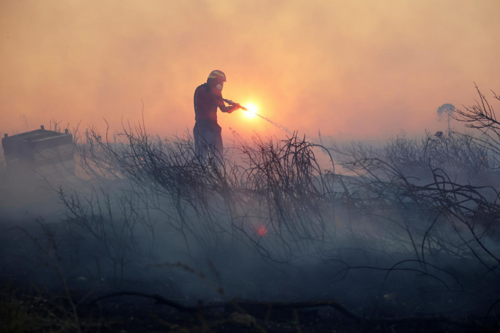 Hasič zasahuje počas lesného požiaru v štvrti Kyroneri na severozápade Atén v sobotu 26. júla 2025. FOTO: TASR/AP