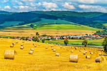 Ak niekto hospodári na cudzej pôde bez právneho titulu, teda bez nájomnej zmluvy, získava majetkový prospech na úkor vlastníka.
