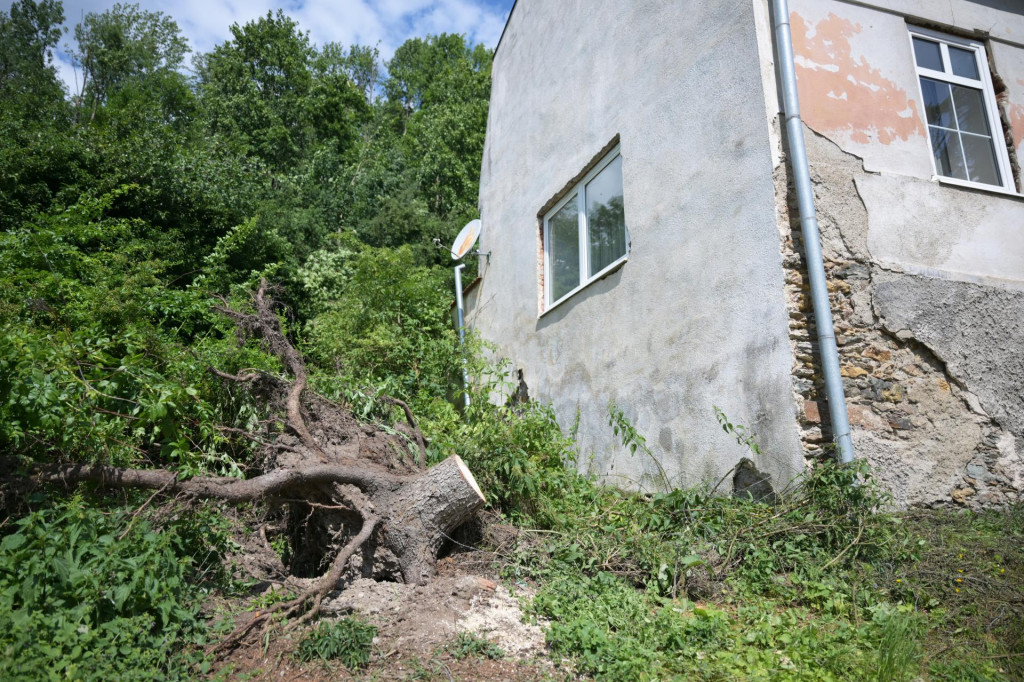 Na snímke spílený strom v meste Gelnica po veternej smršti 11. júla 2025. FOTO: TASR/František Iván
