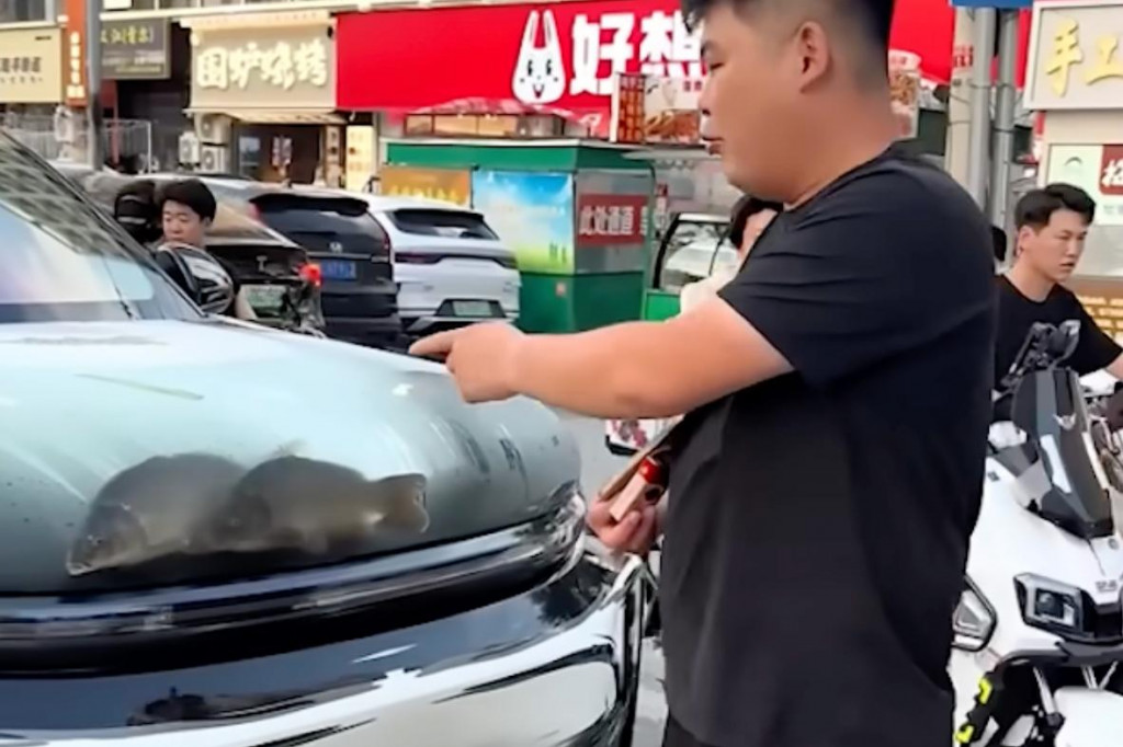 Bizarn&yacute; trend, kedy sa vozidl&aacute; &rdquo;zdobia&rdquo; živ&yacute;mi rybami pod f&oacute;liou.