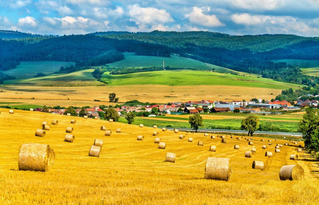 Ak niekto hospodári na cudzej pôde bez právneho titulu, teda bez nájomnej zmluvy, získava majetkový prospech na úkor vlastníka.