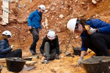 Na nálezovej úrovni TD6 v jaskyni Gran Dolina boli odkryté pozostatky druhu Homo antecessor – pravdepodobného spoločného predka moderných ľudí a neandertálcov.