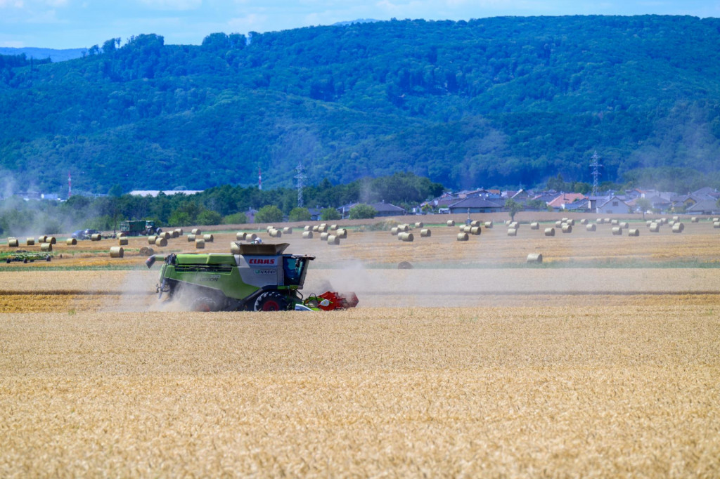 Poľnohospodárom na Slovensku chýba pokosiť ešte značné množstvo úrody. FOTO: TASR/V. Miháliková