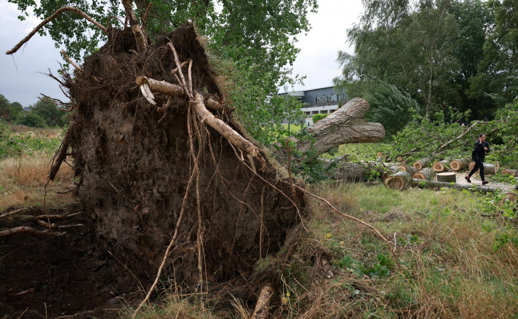 Poryvy vetra, ktoré búrku sprevádzali, dosiahli rýchlosť takmer 150 kilometrov za hodinu. FOTO: REUTERS