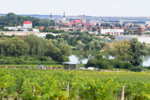 Obchvat Pezinka by mal stáť zhruba 70 miliónov eur. FOTO: Dreamstime