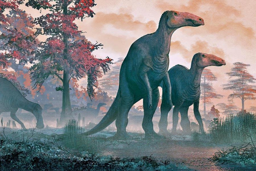 Takto vyzerali edmontosaury.