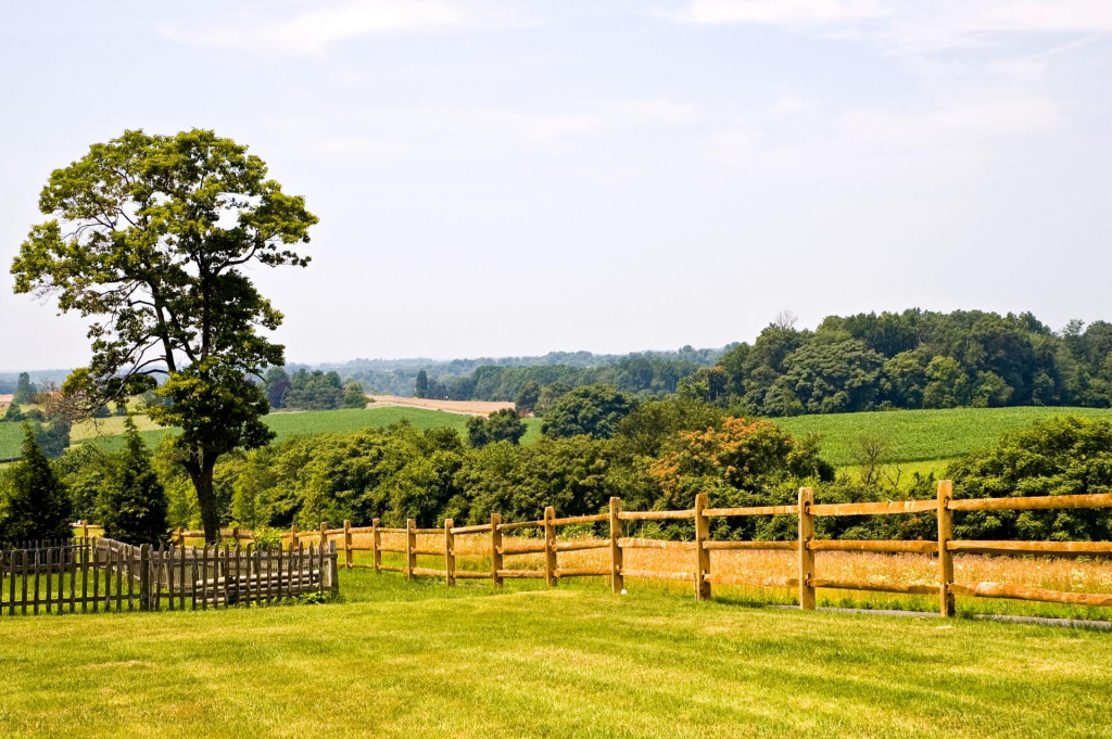 Výhodná kúpa poľnohospodárskeho pozemku s cieľom jeho transformácie na stavebný pozemok je investícia, ktorá si vyžaduje trpezlivosť. FOTO: Dreamstime