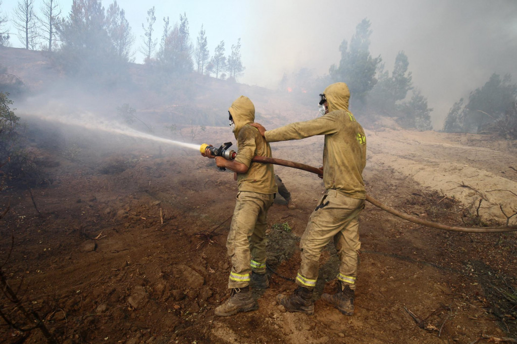 Požiar v provincii Čanakkale vypukol aj minulý týždeň. Hasičom sa ho podaril dostať pod kontrolu v piatok. FOTO: REUTERS