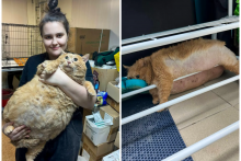 Útek z diétneho tábora skončil v stojane na topánky.