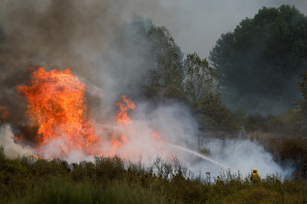 Hasič zasahuje proti lesnému požiaru na okraji Abejera de Tabara v Španielsku. FOTO: Reuters