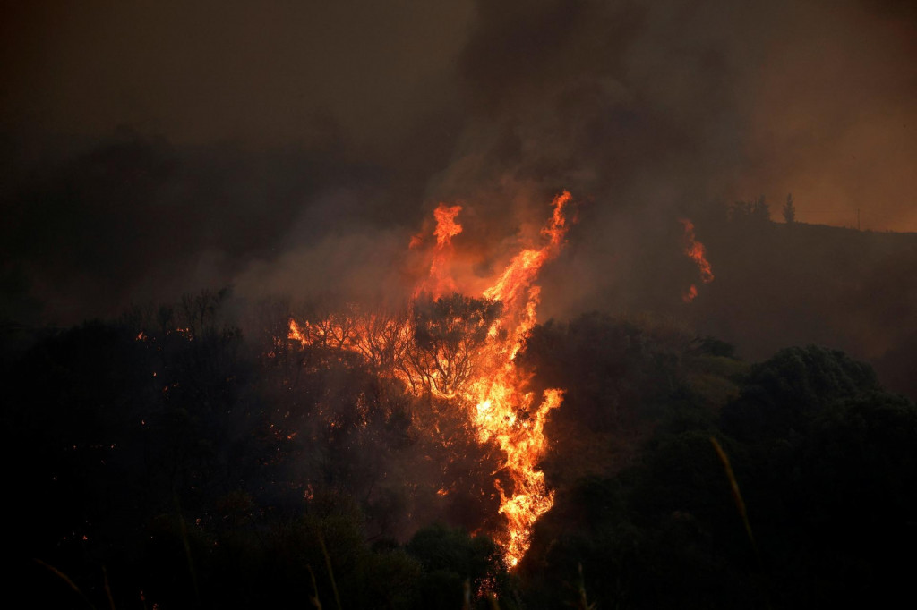 Požiar lesu pri meste Patras v Grécku. FOTO: Reuters