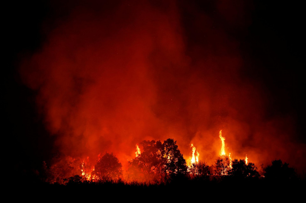 Minister vnútra Grande-Marlaska požiadal partnerov v EÚ, aby hasičské lietadlá nasadili čo najskôr vzhľadom na predpovede počasia, podľa ktorých by sa mohli lesné požiare ešte zhoršiť. FOTO: REUTERS
