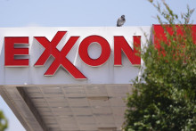 Na snímke vták sedí na nápise Exxon v Dallase v utorok 29. júla 2025. FOTO: TASR/AP