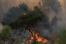 Podľa Európskeho informačného systému o lesných požiaroch tento rok v Portugalsku vyhorelo už približne 278-tisíc hektárov lesov. FOTO: REUTERS