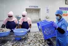 Tento prípad je ďalším príkladom toho, ako Trumpove colné hrozby narušujú podnikanie na celom svete. A najmä v Indii, keďže čelí jednej z najvyšších colných sadzieb, ktoré zhoršili jej vzťahy s Washingtonom. FOTO: REUTERS