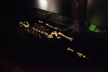 Na snímke originály kostrových pozostatkov australopiteka Lucy, ktoré sú dočasne súčasťou expozície Ľudia a ich predkovia v Národnom múzeu v Prahe. FOTO: TASR/AP