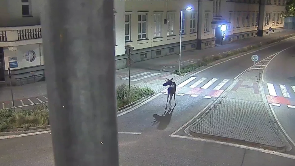 Los Emil putuje strednou Európou