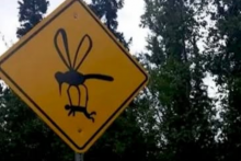 Pozor! Komáre kradnú ľudí!