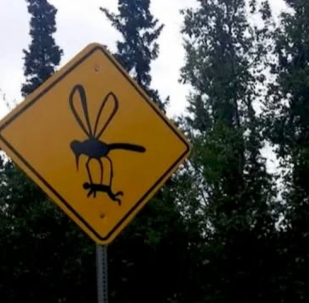 Pozor! Komáre kradnú ľudí!