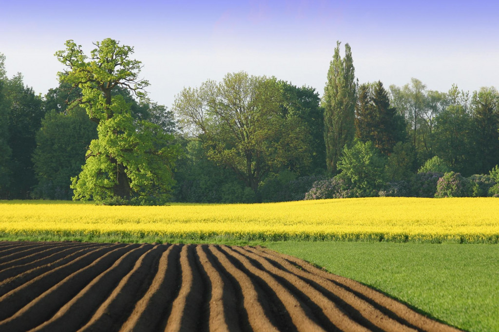 Pri predaji poľnohospodárskej pôdy je potrebné dodržiavať zákaz drobenia pozemkov.