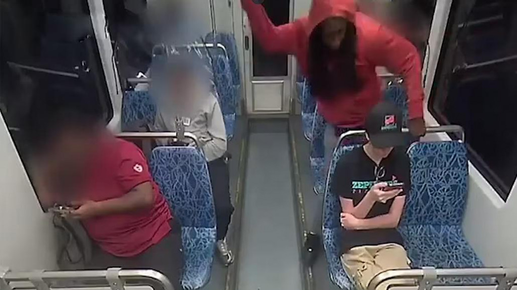 Vražda Ukrajinky Iriny Zarutskej v USA. FOTO: X/Kate from Kharkiv/X/Sumit