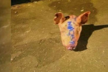 Prasacia hlava s nápisom „Macron“, nájdená nedávno pred jednou z parížskych mešít. (10. septembra 2025). FOTO: X/@LaurentSegnis