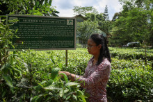 Nižšie náklady pre podniky, najmä v stavebníctve, textilnom priemysle a remeslách, zlepšujú konkurencieschopnosť a podporujú export. FOTO: Reuters