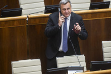 Nápadom šéfa národniarov sa má zaoberať koaličná rada. FOTO: TASR/J. Kotian