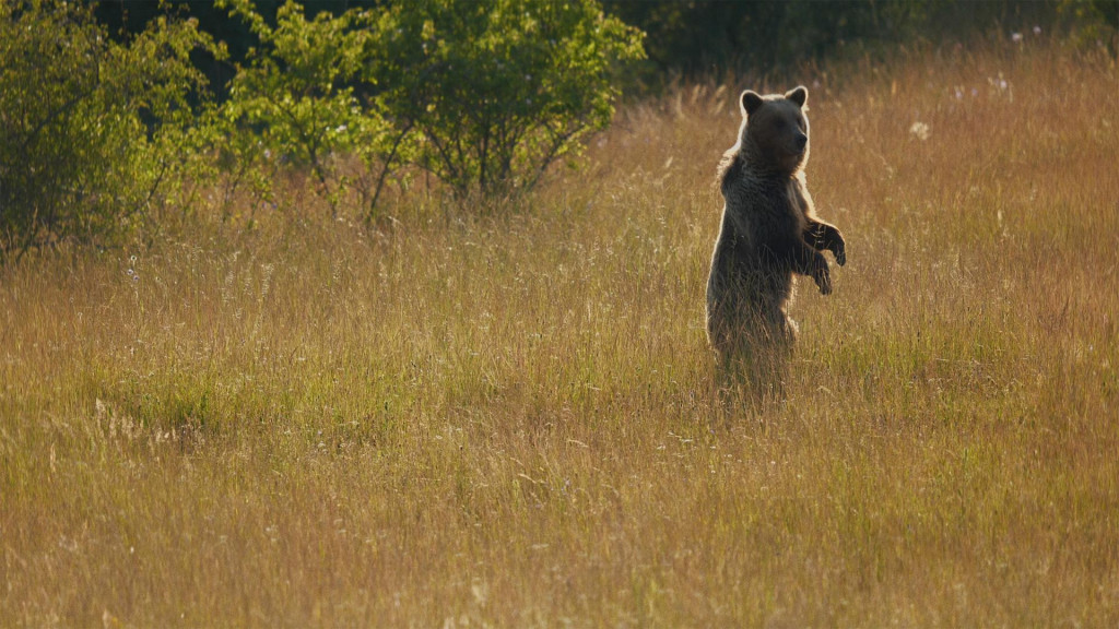 Ilustračná snímka. FOTO: Voyo