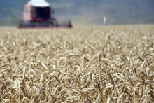 Ilustračná fotografia. FOTO: TASR/Roman Hanc