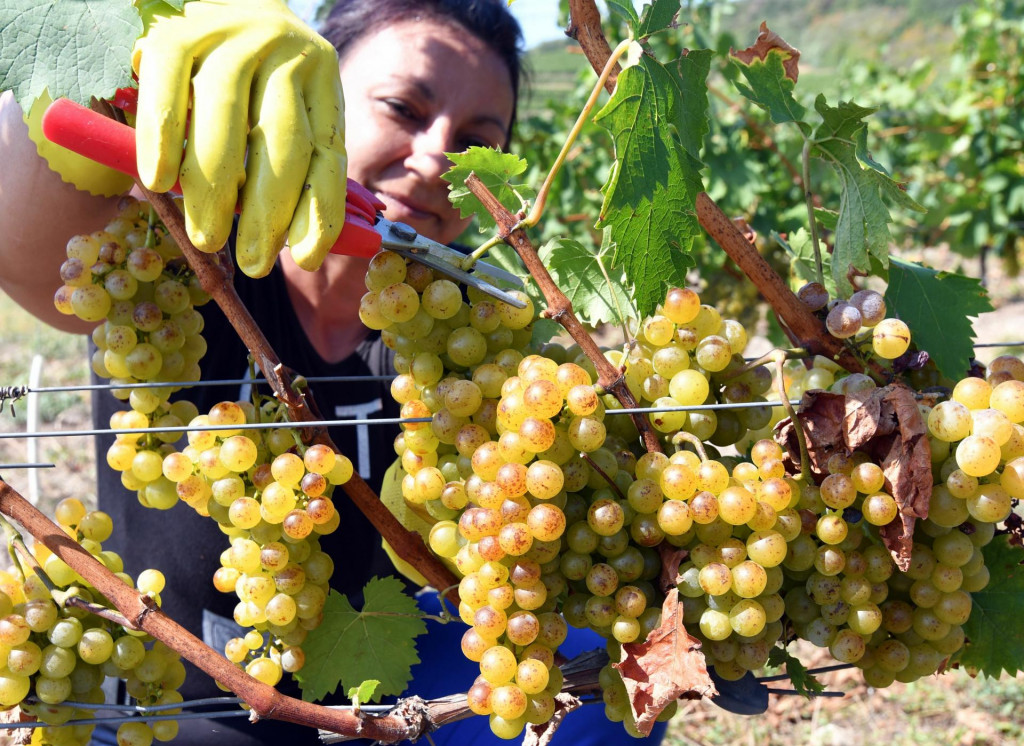 Ilustračná snímka.
FOTO: TASR/ R. Hanc