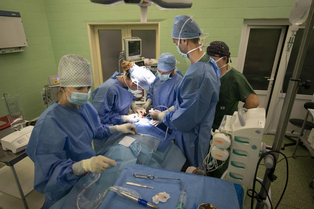 Chirurgovia počas operácie.