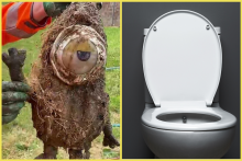 Spláchnutý Mimoň upchal kanalizáciu