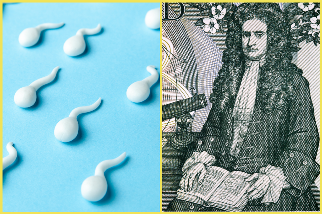 Vedci zachytili, ako spermie ignorujú zákony fyziky