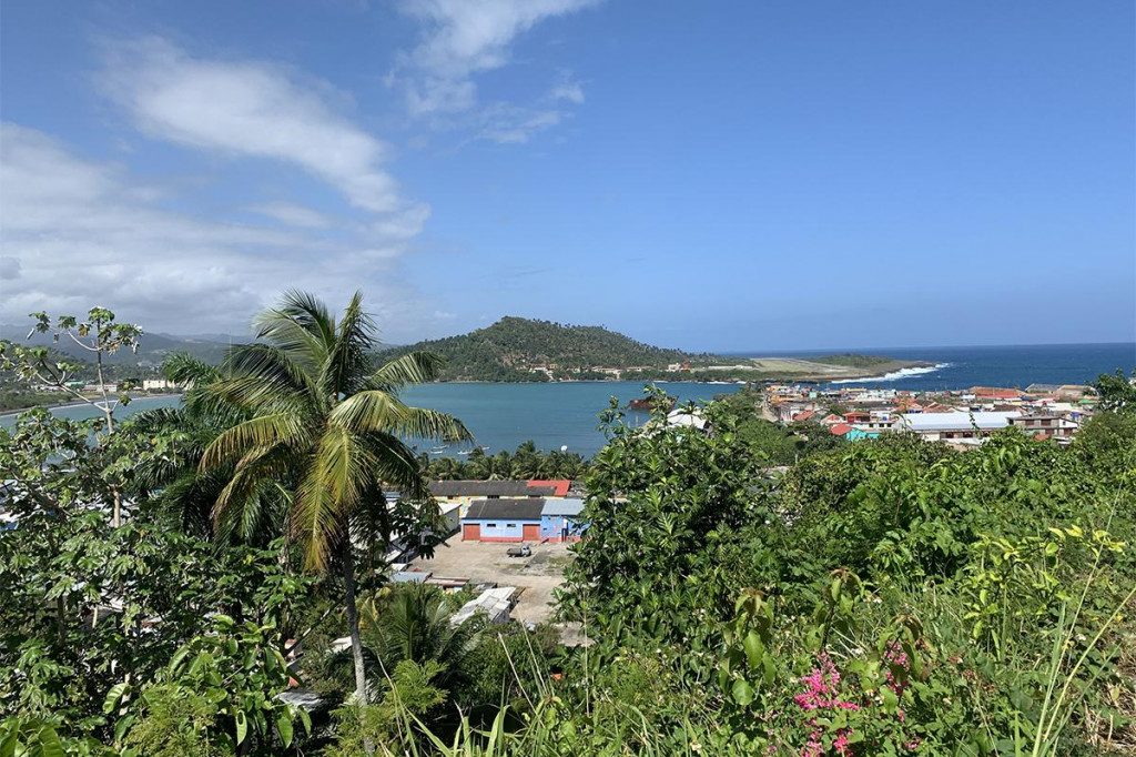 Významným hráčom svetovej produkcie kakaa sa stáva Kuba, konkrétne vysoko cenená oblasť Baracoa.