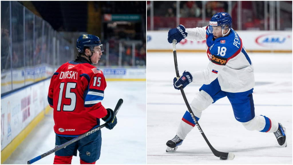 Slovenské duo Dvorský – Pekarčík patrí medzi jednoznačne najpozitívnejšie zjavy v súčasnom tíme Springfieldu Thunderbirds z AHL. FOTO: Facebook (Springfield Thunderbirds), Profimedia.sk