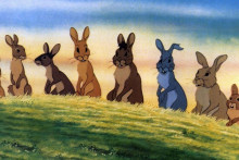 Watership Down