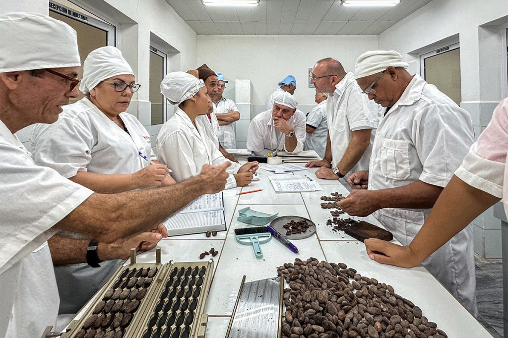 Bonusom kakaa je obrovská prémia za kvalitu.