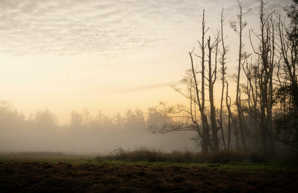 November začne zimou, pokračovať bude jarnými teplotami.