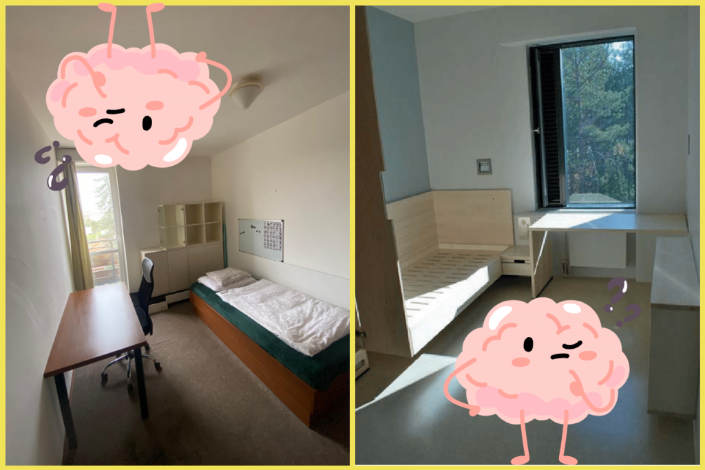 Rozoznáte bratislavský podnájom od väzenskej izby?