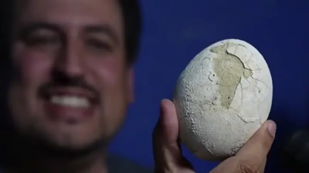 Vedci objavili dokonale zachované vajce dinosaura